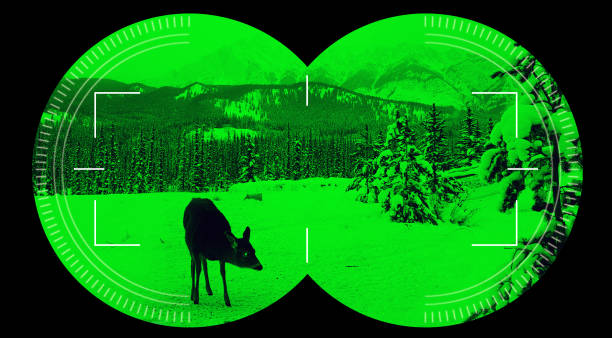 Types of Night Vision Devices